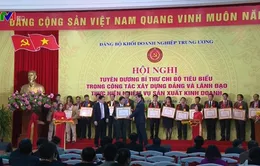 Tuyên dương 192 Bí thư Chi bộ tiêu biểu trong công tác xây dựng Đảng