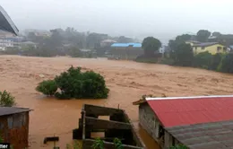 Hàng nghìn người mất tích sau thảm họa lở bùn đất ở Sierra Leone