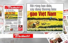 Việt Nam cần xây dựng thương hiệu gạo nổi tiếng