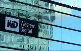 Western Digital: Toshiba sẽ vi phạm hợp đồng nếu bán mảng chip