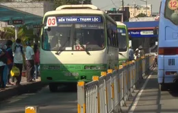 TP.HCM miễn phí xe bus cho người từ 70 tuổi trở lên