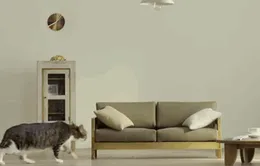 Thích thú với những món đồ nội thất bé xíu cho loài mèo
