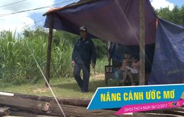 Nâng Cánh Ước Mơ số 49 (20h55 thứ Tư, 06/12 trên VTV8)