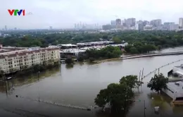 Cộng đồng người Việt tại Houston khắc phục hậu quả bão Harvey