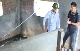 Hải Dương: 3 anh em ruột tử vong do ngạt khí biogas