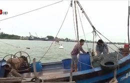 Động viên ngư dân Việt Nam yên tâm bám biển sản xuất