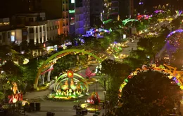 Náo nhiệt đường hoa Nguyễn Huệ Tết Đinh Dậu 2017
