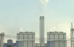 Hàn Quốc sắp đóng cửa 8 nhà máy nhiệt điện than