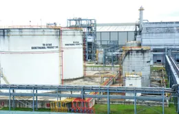 Tái khởi động nhà máy sản xuất ethanol Bình Phước và Dung Quất