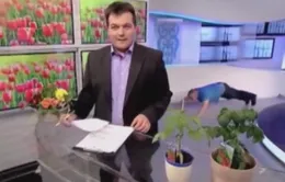Cười lăn lộn với màn trườn bò khó đỡ trên sóng truyền hình