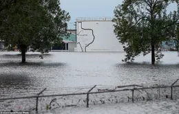 Nổ tại nhà máy hóa chất ở Mỹ do bão Harvey