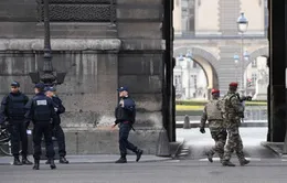 Nổ súng ở Bảo tàng Louvre, Pháp