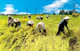 Hà Nội: Sở Nông nghiệp và PTNT phấn đấu nâng tốc độ tăng trưởng ngành