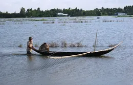 Lũ ở ĐBSCL đang xuống theo triều