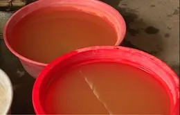 Khan hiếm nước sinh hoạt trầm trọng tại đảo Cát Hải, Hải Phòng