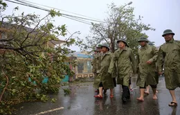 Phó Thủ tướng Trịnh Đình Dũng thị sát công tác khắc phục hậu quả của bão số 10