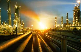 Saudi Arabia mở rộng hợp tác với các nước không thuộc OPEC