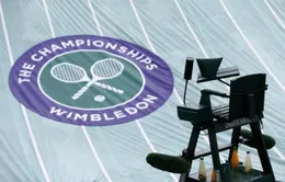 Những sao mai hứa hẹn tỏa sáng ở Wimbledon 2017