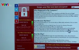 Cách phòng tránh mã độc tống tiền WannaCry