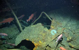 Tìm thấy con tàu 800 tấn mất tích bí ẩn dưới đáy đại dương hơn 1 thế kỷ