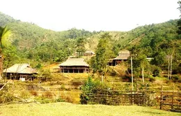Độc đáo phong tục dựng nhà sàn của người Tày Tây Bắc