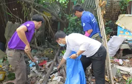 Yêu cầu tăng cường phòng chống bệnh sốt xuất huyết và Zika