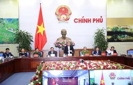 PTTg Trương Hòa Bình: "Sẽ xử lý nghiêm cán bộ bảo kê cho buôn lậu, gian lận thương mại"