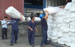 Liên tục phát hiện các vụ lợi dụng quá cảnh để buôn lậu