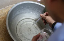 Bộ trưởng Bộ Y tế: Để tránh dịch sốt xuất huyết bùng phát, cơ bản nhất là diệt bọ gậy