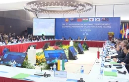 Thúc đẩy đàm phán RCEP kết thúc vào cuối năm 2017