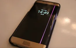 Galaxy S7 edge dính lỗi đường kẻ màu hồng “chết chóc” trên màn hình