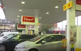 Hãng Shell mở các điểm sạc xe hơi đầu tiên tại Anh