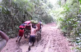 Peru: Lũ bùn càn quét qua thủ đô Lima, ít nhất 15 người bị thương