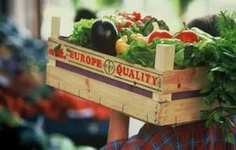 EU áp dụng hệ thống chứng nhận điện tử cho sản phẩm hữu cơ đầu tiên trên thế giới