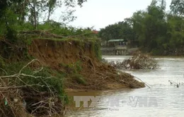 Gia tăng tình trạng mất đất do sạt lở ven sông Cái