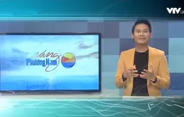 Điều gì thu hút khán giả ở Sáng phương Nam trên VTV9?