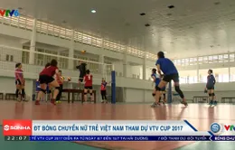 Đội tuyển trẻ Việt Nam tham dự VTV Cup Tôn Hoa Sen 2017