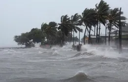 Siêu bão Irma tàn phá nghiêm trọng các đảo ở Caribe