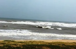 Các tỉnh, thành phố ven biển từ Quảng Ninh đến Cà Mau chủ động ứng phó với gió mạnh, sóng lớn trên biển