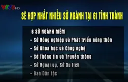 Hợp nhất nhiều sở ngành ở 61 tỉnh, thành