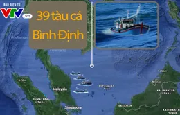 Bình Định đề nghị Malaysia hỗ trợ cho tàu cá trú bão