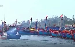 Thừa Thiên - Huế: Nhiều tàu cá trúng đậm sau chuyến ra khơi