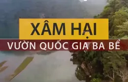 Xuất hiện nhiều dự án xây dựng trái phép giữa Vườn quốc gia Ba Bể