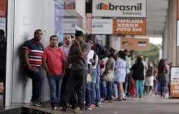 Brazil: Tỷ lệ thất nghiệp tăng cao kỷ lục trong quý I/2017