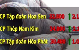 Cổ phiếu ngành tôn tăng mạnh sau quyết định áp thuế