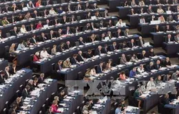 EU miễn thị thực ngắn hạn cho công dân Ukraine