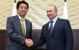 Tổng thống Nga Putin hội đàm với Thủ tướng Nhật Bản Shinzo Abe