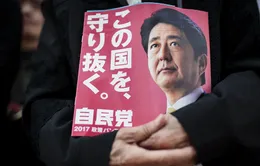 Đảng LDP của Thủ tướng Shinzo Abe giành chiến thắng bầu cử Hạ viện