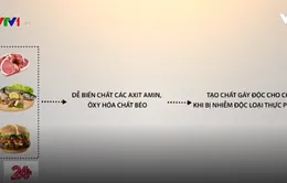 Khi nào thức ăn có thể biến thành chất độc vì bảo quản sai quy cách?