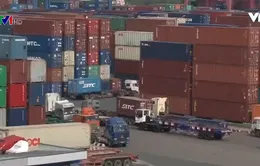 Điện tử hóa thông tin xuất xứ hàng hóa